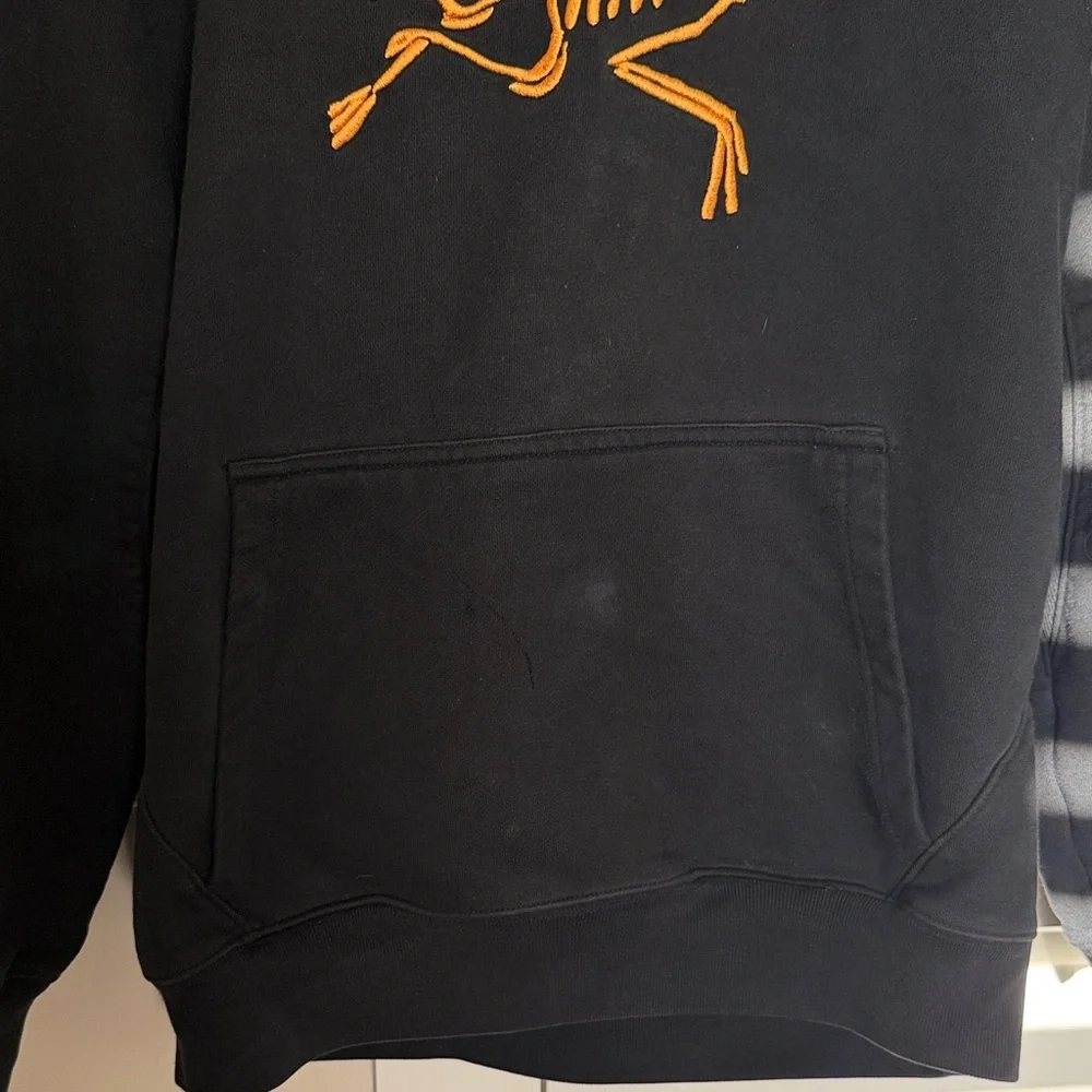 Arc’teryx X Palace Hoodie - Picture 3 of 4